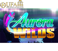 Aurora wilds