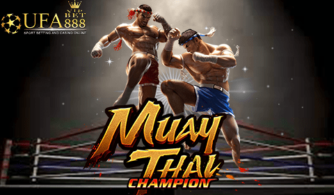 Muay Thai Champion