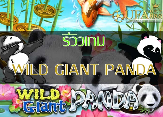 Wild-Giant-Panda-รีวิวเกม