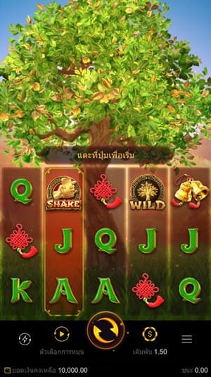 Tree Of Fortune-สล็อต